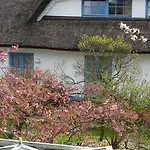 Hotel Kastanienallee Putbus