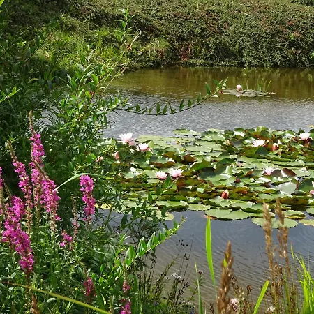 Hotel Kastanienallee