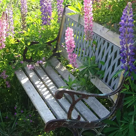 Kastanienallee 普特布斯