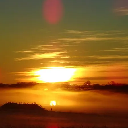 Kastanienallee 普特布斯