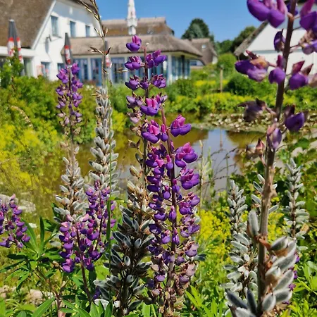 Kastanienallee Hotel