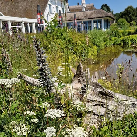 酒店 Kastanienallee 4*