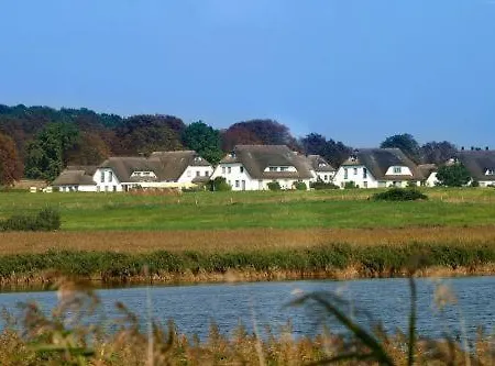 酒店 Kastanienallee