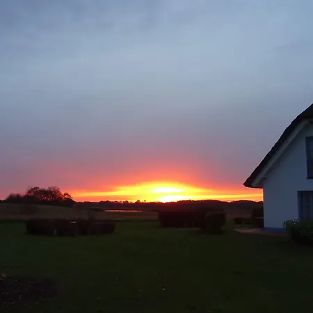 Kastanienallee 普特布斯