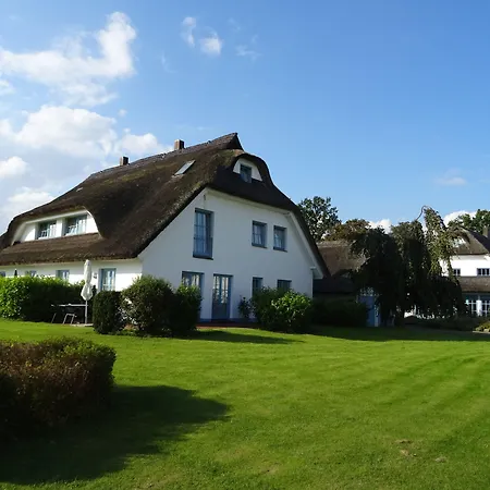 酒店 Kastanienallee 4*