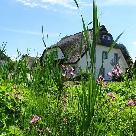 Hotel Kastanienallee 4*