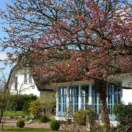 Kastanienallee Putbus