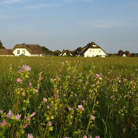 Kastanienallee Hotel 4*