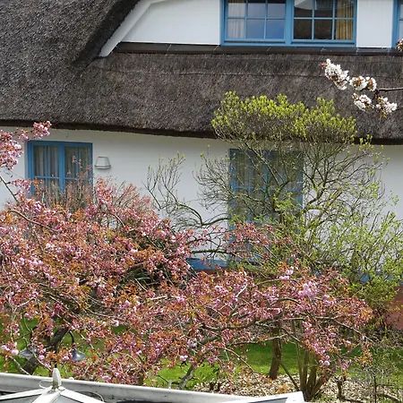 酒店 Kastanienallee 普特布斯