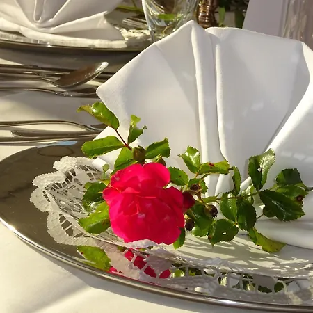 酒店 Kastanienallee