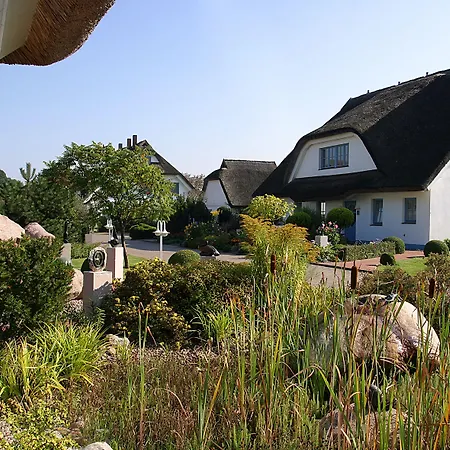 酒店 Kastanienallee