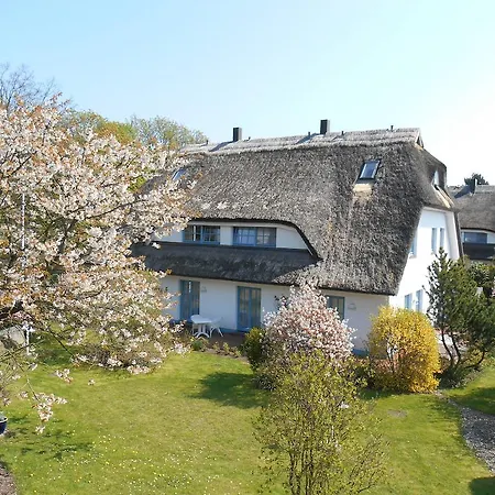 Kastanienallee 4* 普特布斯