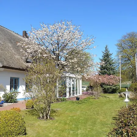 酒店 Kastanienallee