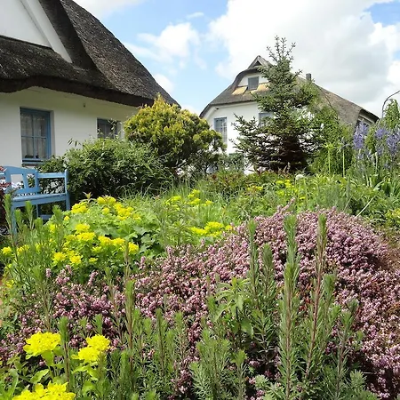 Kastanienallee 酒店