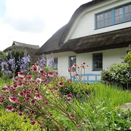 酒店 Kastanienallee 4*