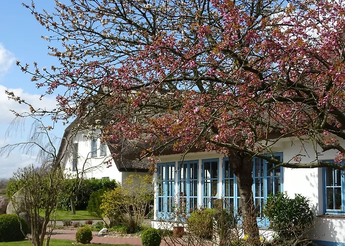 Kastanienallee Путбус